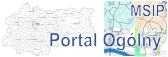 MSIP_portal ogólny