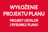 Projekt planu, projekt ustaleń