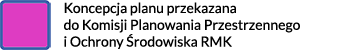 oznaczenie koncepcji planu