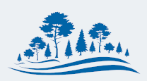 Ikona dekoracyjna odnosząca się do kategorii lasy